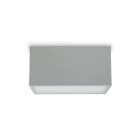 PLATEK - SPECIAL APP (19W-4K) 1 FINESTRA-SOFT -BI