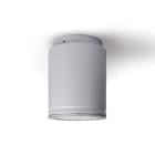 PLATEK - SPOT 200 PLAFONE (19W-3K) MEDIUM -GRIGIO