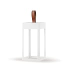 PLATEK - ETEREA 2.0 BATTERY MEDIUM 4,5W-3K DIFF-B 9414219.02