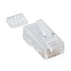QUBIX - SPINA PLUG RJ45 8 POLI C6 UTP