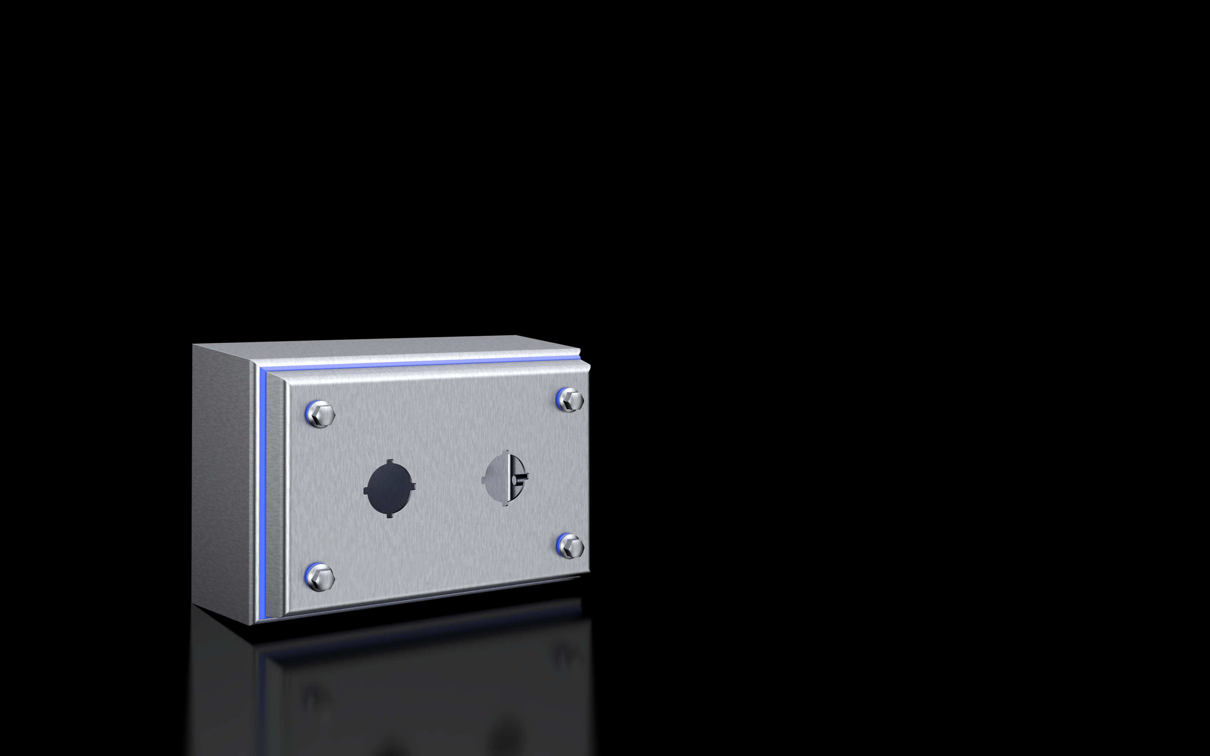 RITTAL - HD switch housing, stainless steel 1.4301, 2 switches ? 22.5mm