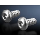 RITTAL - VITI TESTA BOMBATA CILINDR 5,5X13 300 PZ