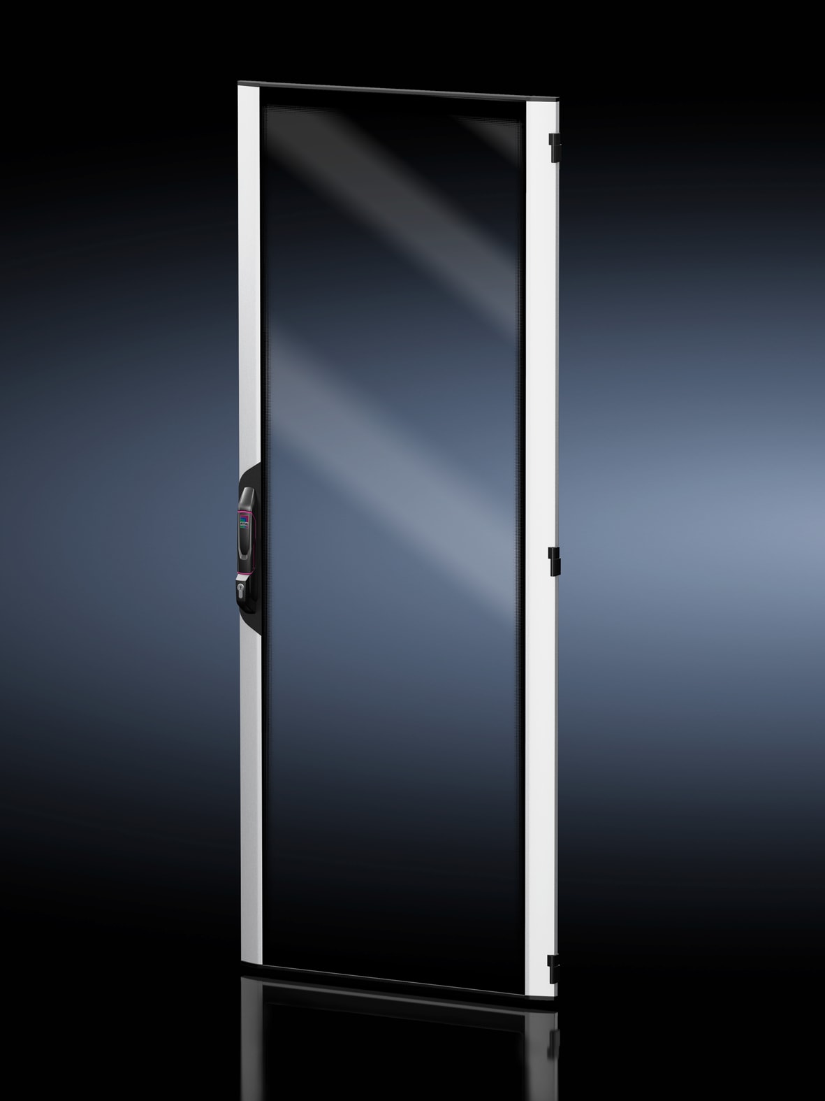 RITTAL - Aluminium glazed door for VX IT, 800x2000 mm RAL 9005