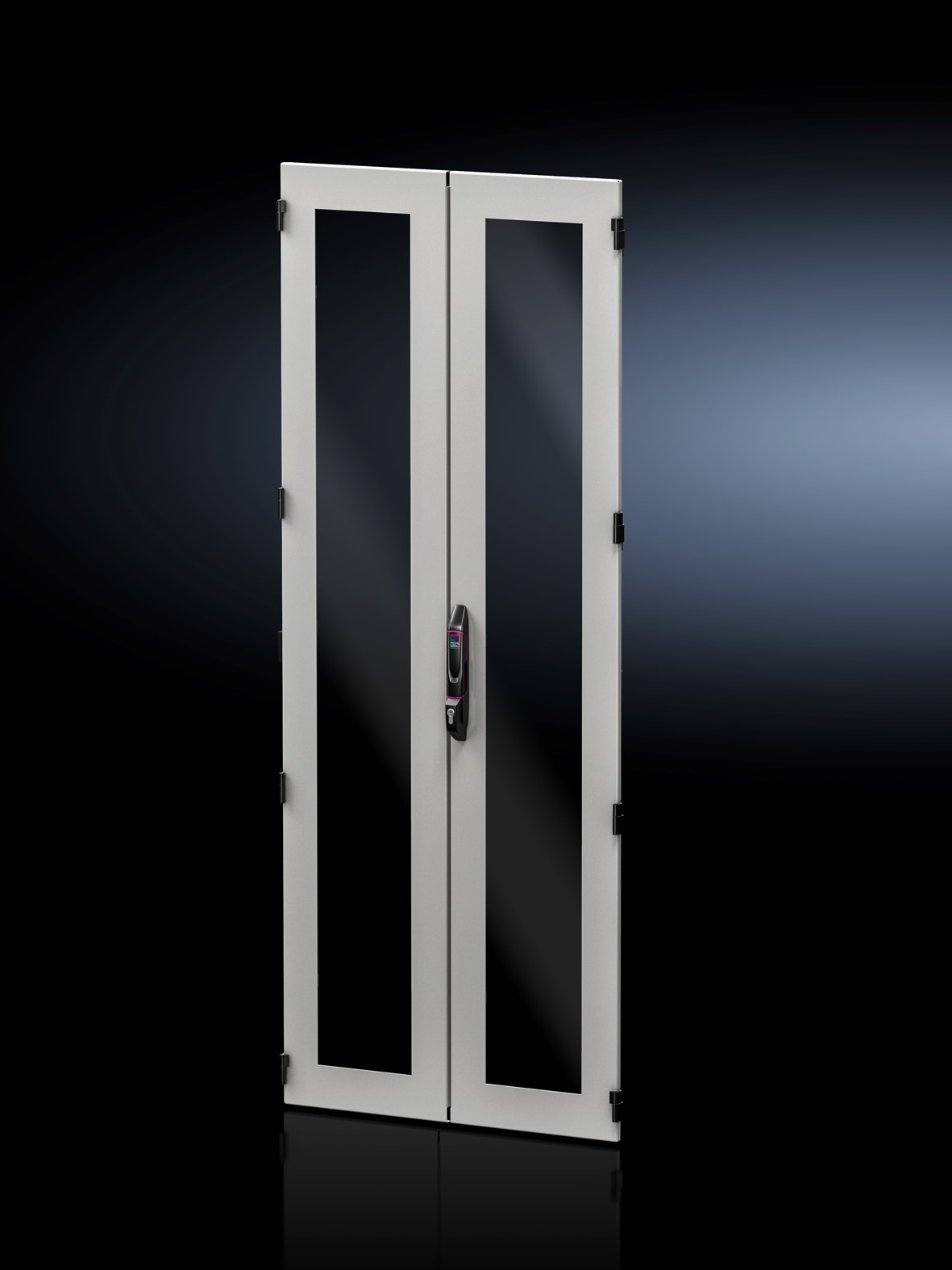 RITTAL - Sheet steel glazed door, vertically divided for VX IT, 800x2200 mm RAL 7035