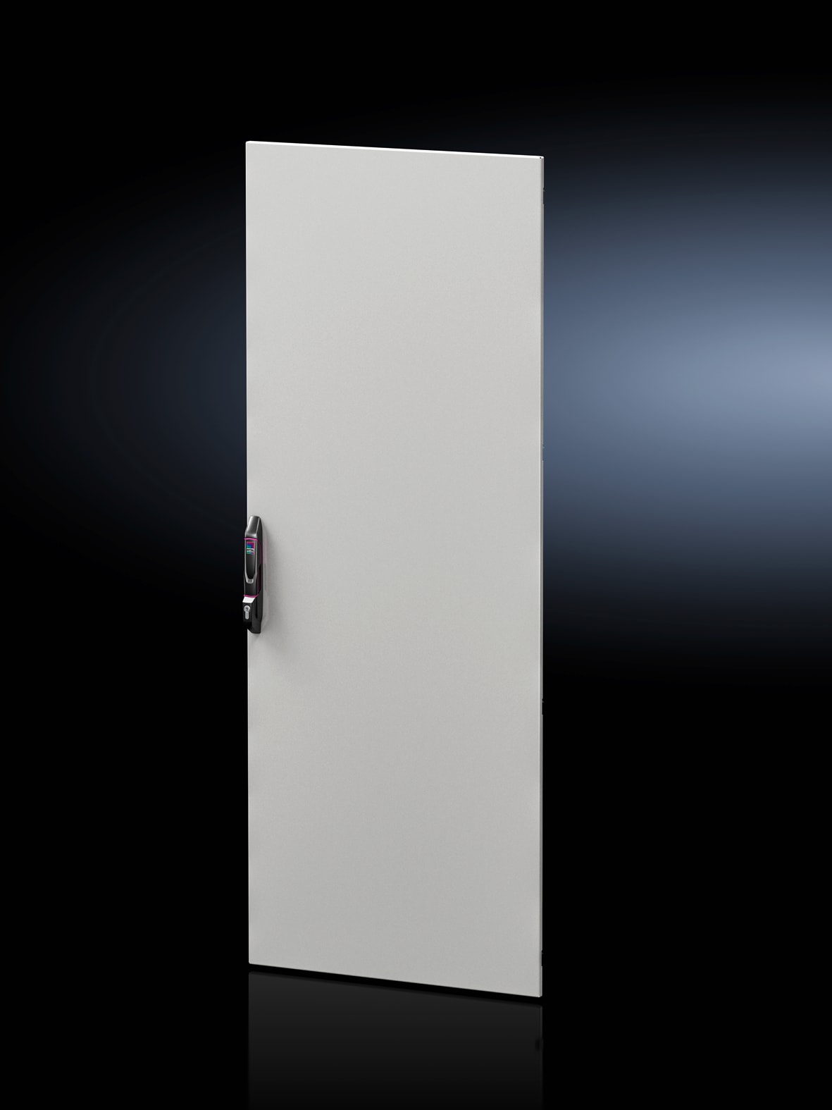 RITTAL - VX IT PORTA CIECA 800X2200MM