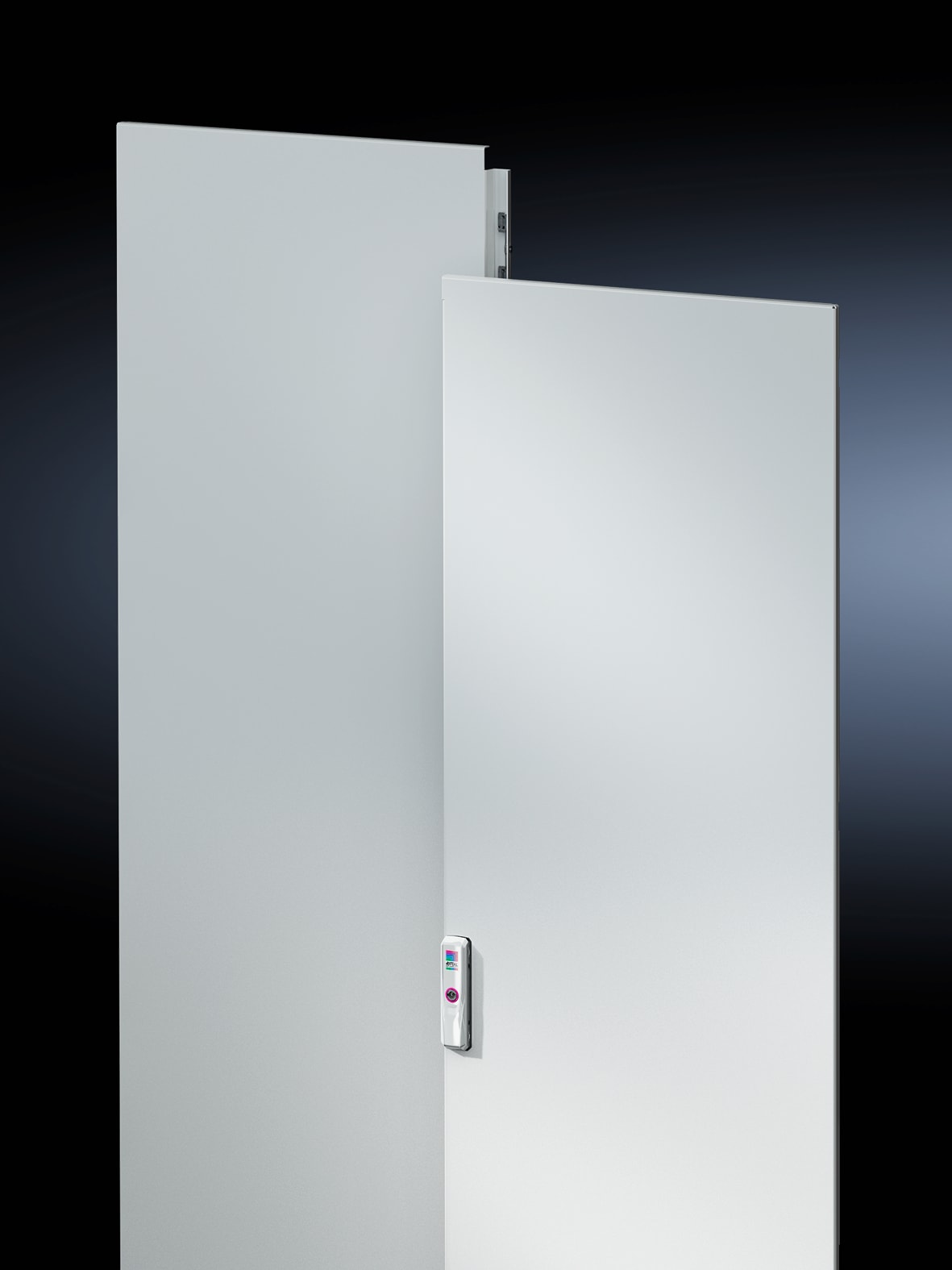 RITTAL - VX Porta Battente con Serratura, 800X2000 mm