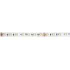 ROSSINI ILLUMINAZIONE - STRIP LED 17,3W/M 24V IP20 TW