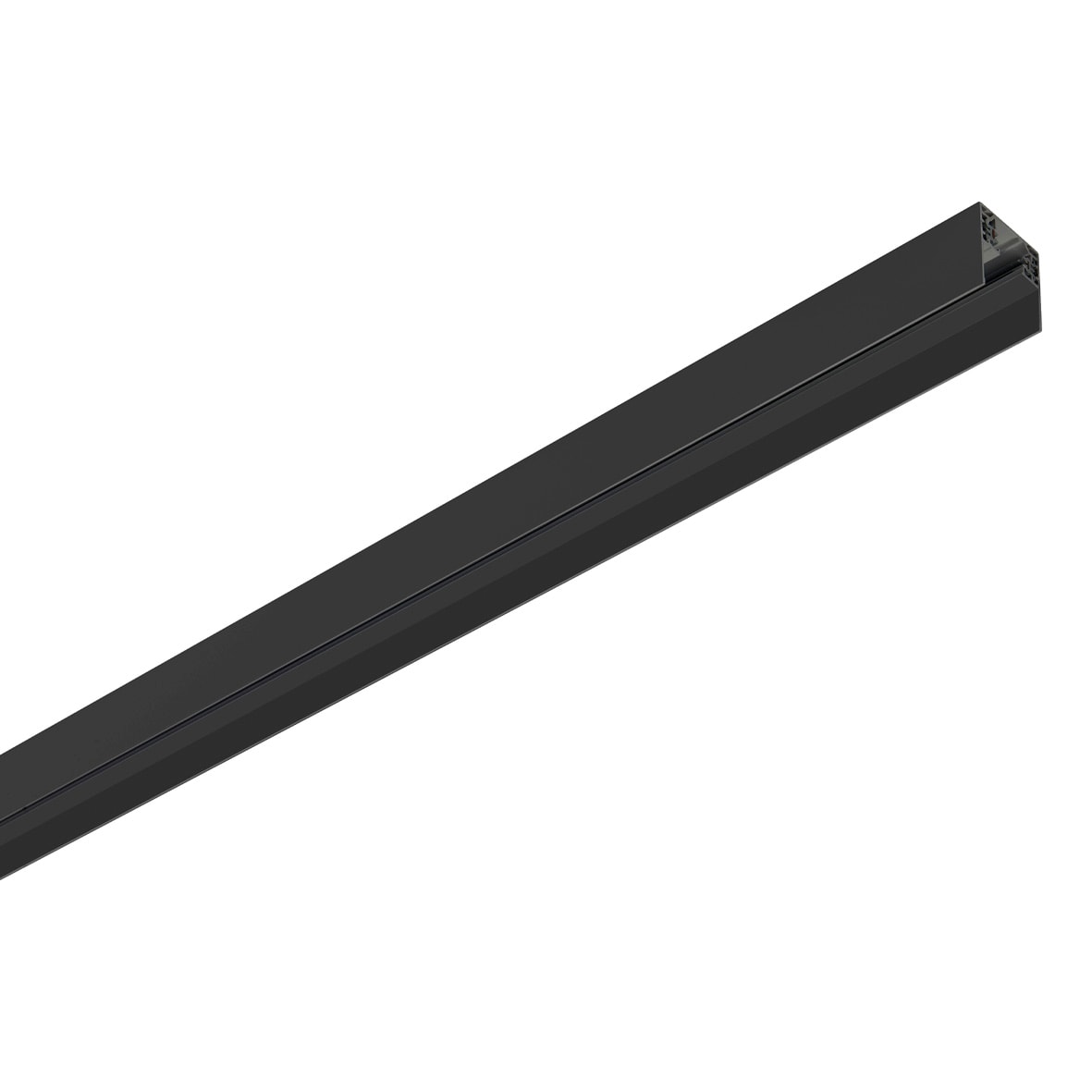 ROSSINI ILLUMINAZIONE - BINARIO MONOFASE 2MT NERO