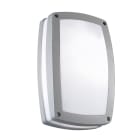 ROSSINI ILLUMINAZIONE - APPLIQUE/PLAFONIERA GRIGIA E27 IP54 10017-GR