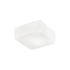 ROSSINI ILLUMINAZIONE - APPLIQUE/PLAFONIERA QUADRATA VETRO SATINATO E27 IP20 20CM