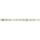 ROSSINI ILLUMINAZIONE - STRIP LED 17,3W/MT 24V IP20 2700-6000K CRI90 5MT