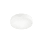 ROSSINI ILLUMINAZIONE - APPLIQUE/PLAFONIERA TONDA VETRO SATINATO E27 IP20 30CM