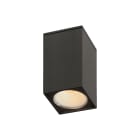 ROSSINI ILLUMINAZIONE - DOWNLIGHT A PLAFONE QUADRATO TITANIO CON LAMPADINA GU10 MINI 3000K BIA