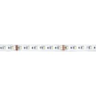 ROSSINI ILLUMINAZIONE - STRIP LED 19,2W/MT 24V IP20 RGB+3000K CRI85 5MT