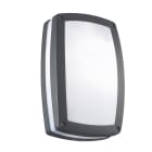 ROSSINI ILLUMINAZIONE - APPLIQUE/PLAFONIERA ANTRACITE E27 IP54 10017-AN