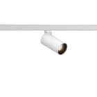 ROSSINI ILLUMINAZIONE - PROIETTORE BIANCO PER BINARIO MONOFASE C MAN20140NB