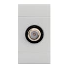 SCAME PARRE - PRESA TV COAX/SAT/CAT.F DIR.CONT. GRIGIA