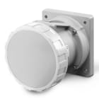 SCAME PARRE - PRESA INCASSO DIR. 2P+T 3H 125A IP67