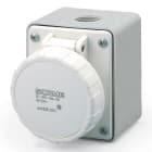 SCAME PARRE - PRESA PAR.<50V 2P 16A 10H IP67