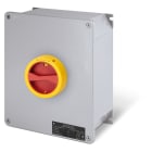 SCAME PARRE - INT. DI MANOVRA/SEZ. 100A 3P+SN IP65