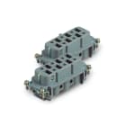 SCAME PARRE - INSERTO FEMMINA 7-12