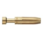 SCAME PARRE - CONTATTO A CRIMP.DO.F.,75-1MMQ
