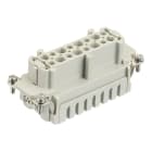 SCAME PARRE - INSERTO FEMMINA