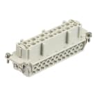 SCAME PARRE - INSERTO FEMMINA