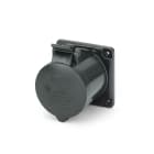 SCAME PARRE - PRESA FISSA 30A 4P 5W 5H IP44