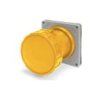 SCAME PARRE - PRESA FISSA 100A 2P 3W 4H IP67 125V