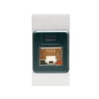 SCAME PARRE - PRESA EDP RJ45CAT.6 8/8UTP(N/SCHER.) GR