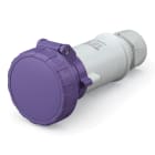 SCAME PARRE - PRESA VOL.<50V 3P 16A 24V IP67 335.1609