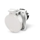 SCAME PARRE - PRESA FISSA 2P+T IP44 63A 8H >250V 413.63638