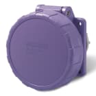 SCAME PARRE - PR.INC.RID<50V 2P 16A 24V IP67