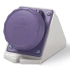 SCAME PARRE - PRESA PAR.INC<50V 3P 16A 24V IP67 535.01614