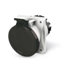 SCAME PARRE - PRESA FISSA 2P+T IP44 63A 7H 480-500V CA