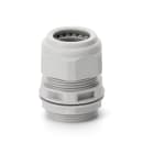 SCAME PARRE - PRESSACAVO  PG 36    LIGHT