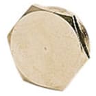 SCAME PARRE - TAPPO FILETTATO PG29 METALLO