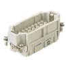 Miniatura Immagine principale 1