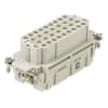 Miniatura Immagine principale 1