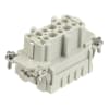 Miniatura Immagine principale 1