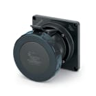 SCAME PARRE - PRESA FISSA 100A 4P 5W 5H IP67