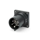 SCAME PARRE - SPINA DA INCASSO 30A 4P 5W 5H IP44