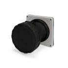 SCAME PARRE - PRESA FISSA 30A 2P 3W 8H IP67 550VDC