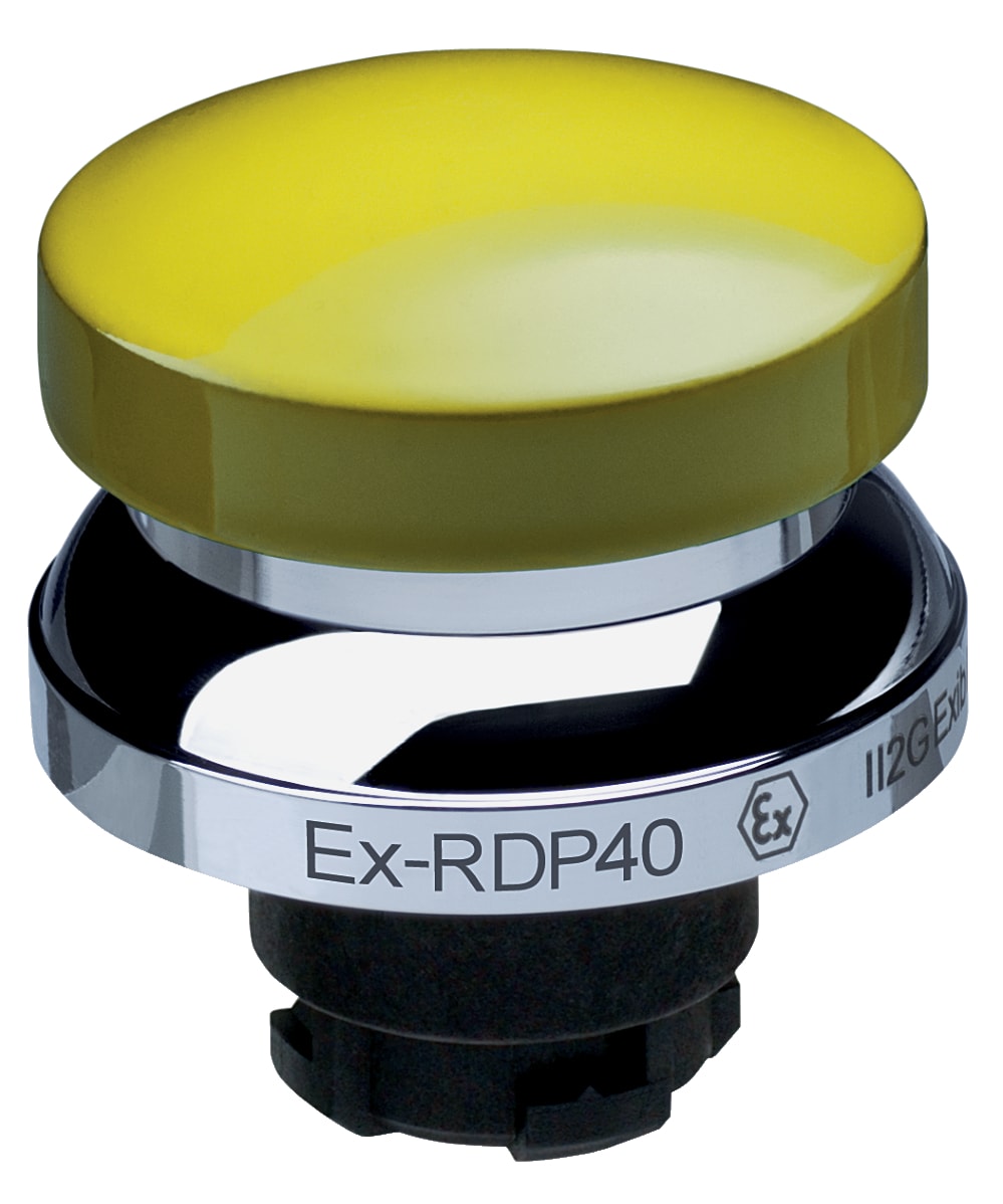 SCHMERSAL - EX-RDP40GB