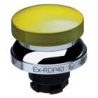 SCHMERSAL - EX-RDP40GB