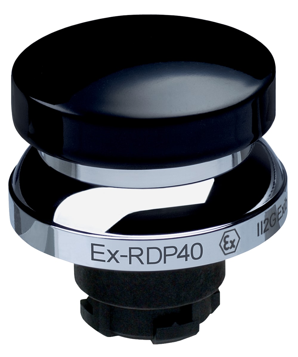 SCHMERSAL - EX-RDP40SW