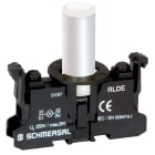 SCHMERSAL - RLDEWS24