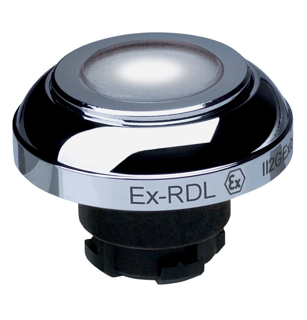 SCHMERSAL - EX-RDLWS