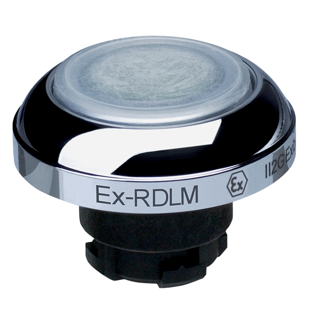 SCHMERSAL - EX-RDLMWS